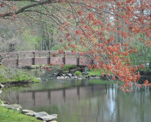 Bridge in Armonk