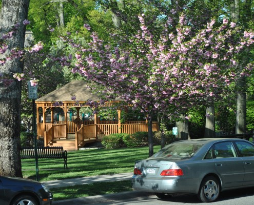 Gazebo with flowering trees in Pelham